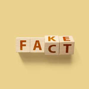 Vier Holzklötze mit verschiedenen Buchstaben sind so angeordnet, dass es entweder Fact oder Fake heißt.